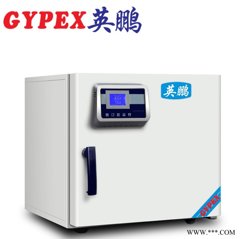 水城實(shí)驗(yàn)室干燥箱，電熱恒溫干燥箱