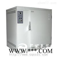 電熱鼓風干燥箱（單開門）