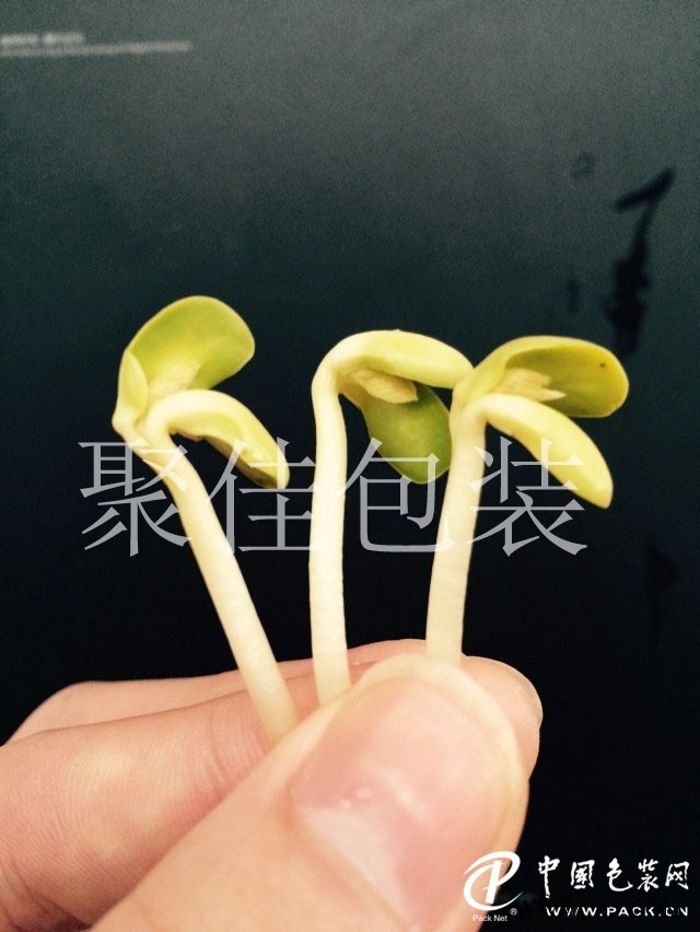 豆芽氣調(diào)保鮮包裝配氣機供應
