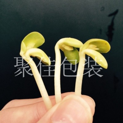 豆芽氣調(diào)保鮮包裝配氣機供應