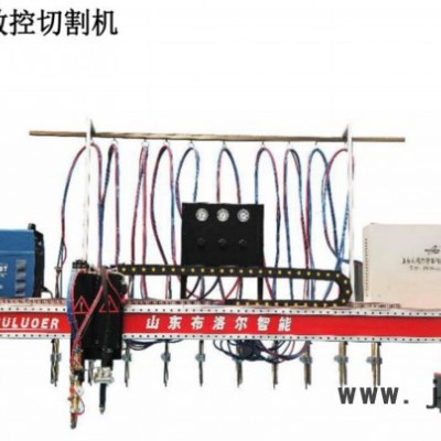 布洛爾BLDH-4080 數(shù)控切割機