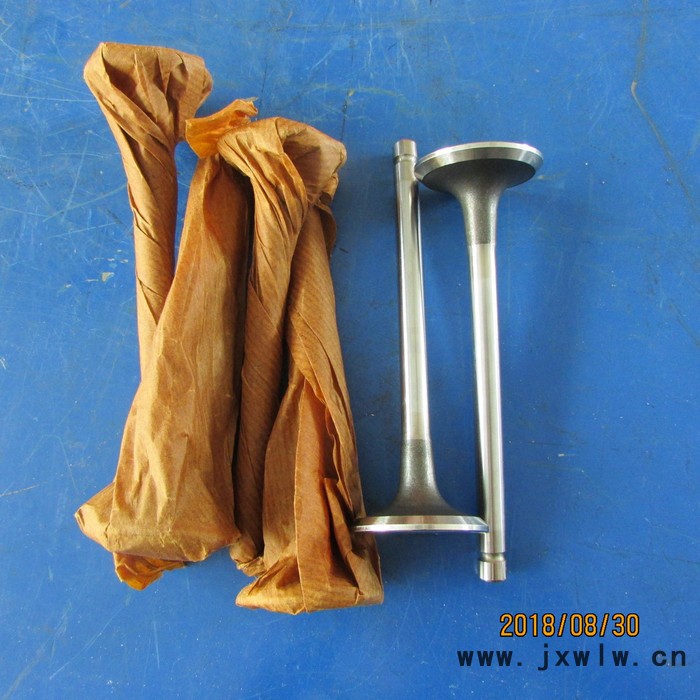 供應(yīng)徐工機(jī)械WZ30-25特機(jī)玉柴發(fā)動(dòng)機(jī)配件排氣門D30-1003103B 品質(zhì)保證