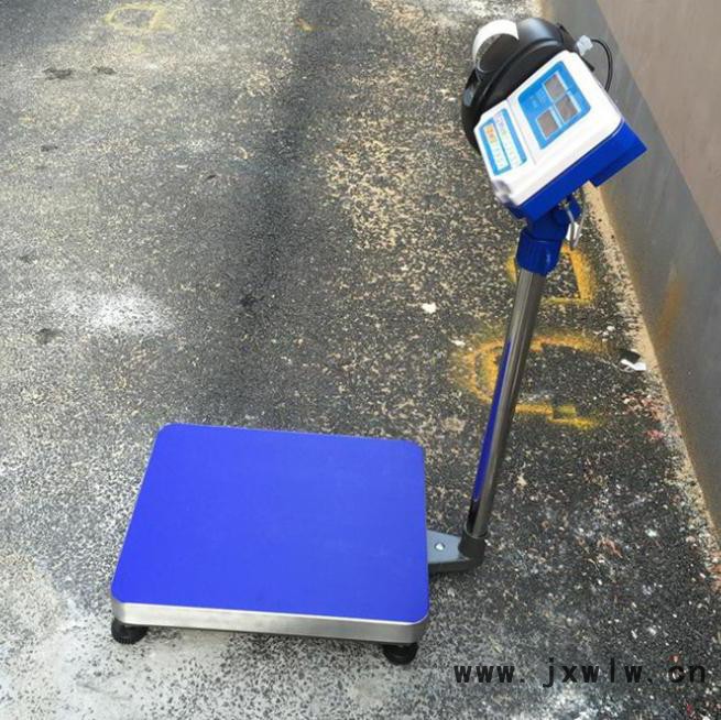 頂峰衡器_電子磅秤_地磅定制_東莞現(xiàn)貨供應(yīng)