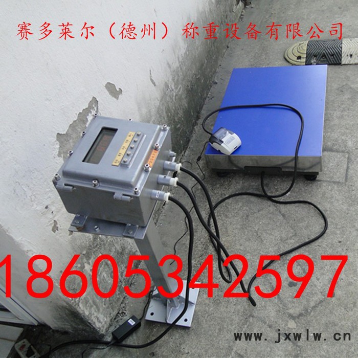 賽多萊爾衡器廠供應(yīng)小地磅 地磅 電子地磅 汽車衡 電子秤廠家