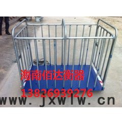 專業(yè)稱重管理軟件電子秤軟件地磅過磅電腦管理軟件專業(yè)衡器SCS 江西地磅廠家