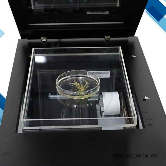 云唐 植物根系分析儀 WinRHIZO 植物根系分析儀 可定制