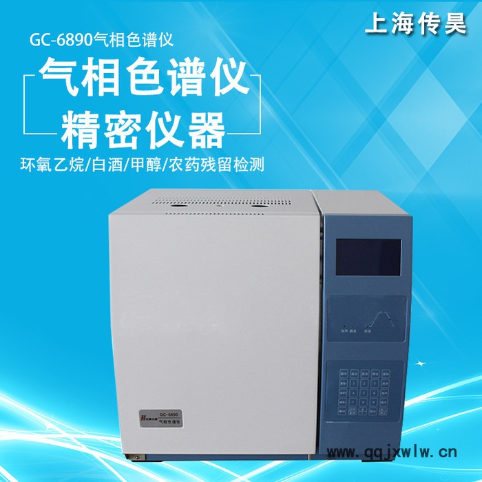 上海傳昊廠家專業(yè)生產(chǎn)銷售GC-6890氣相色譜儀  毛細血管分析儀