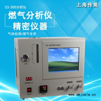 上海傳昊GS-300天然氣分析儀 各種型號液化分析儀 燃氣分析儀  天然氣分析儀 氣體分析儀