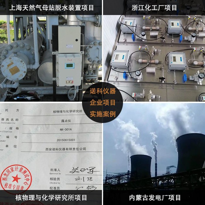 防爆式磁氧分析儀 順磁氧分析儀 磁氧檢測儀 順磁氧檢測儀諾科儀器NK-100CY-EX